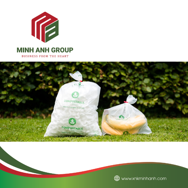 nnovative Eco-Friendly Packaging Solutions for a Greener Future